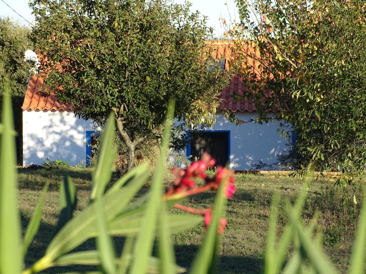 Quinta Das Teimosas By Stay In Alentejo Cercal do Alentejo Экстерьер фото